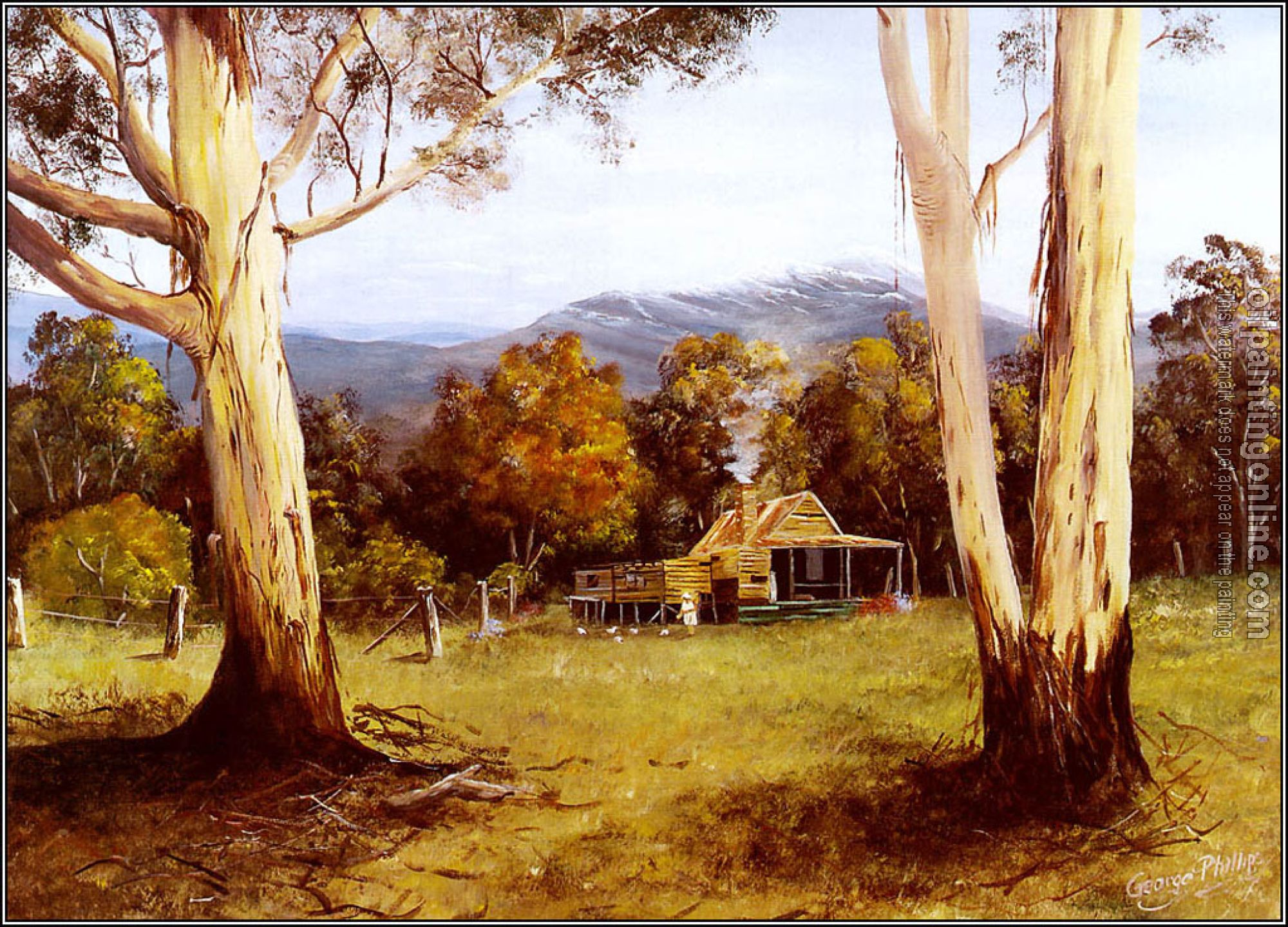 George Phillips - Australian Bush